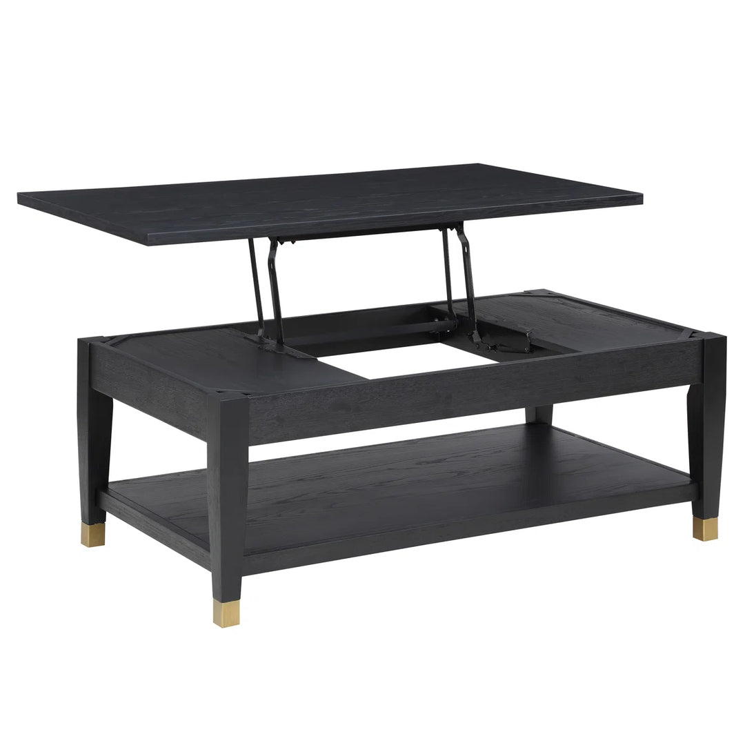 Three Posts Donny Lift-Top Extendable Coffee Table with Storage