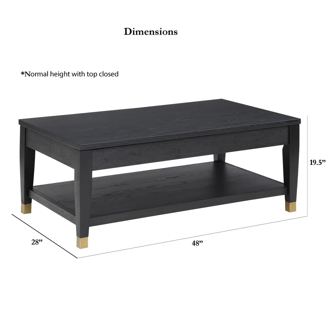 Three Posts Donny Lift-Top Extendable Coffee Table with Storage