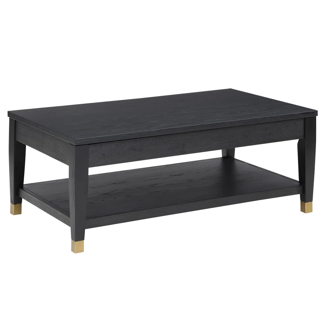 Three Posts Donny Lift-Top Extendable Coffee Table with Storage