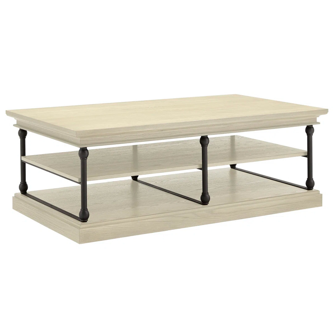Greyleigh Kyler Floor Shelf Coffee Table with Storage