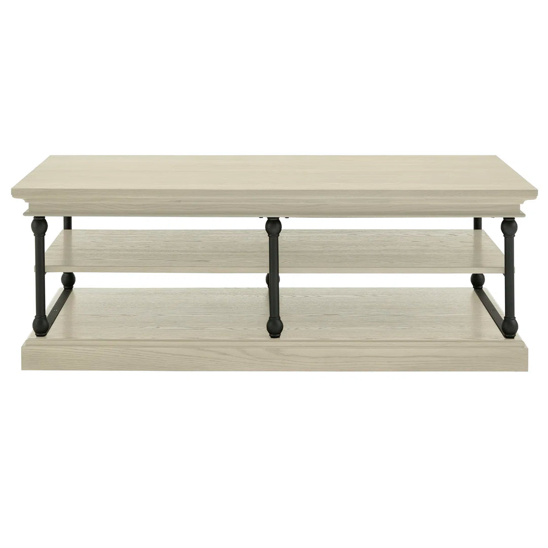 Greyleigh Kyler Floor Shelf Coffee Table with Storage